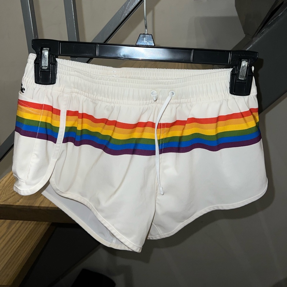 Charlie by Matthew Zink rainbow swimsuit